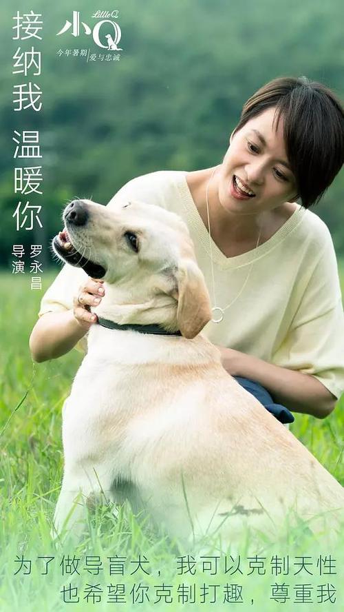 仿制AT&T 公用事业账单
